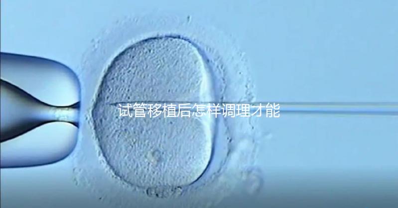 試管移植后怎樣調理才能增加胚胎著床的幾率？