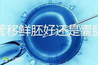 試管移鮮胚好還是囊胚好(3天鮮胚和5天囊胚的區(qū)別)