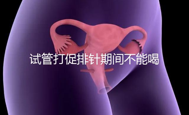 試管打促排針期間不能喝酵素減肥？把控好時間就行