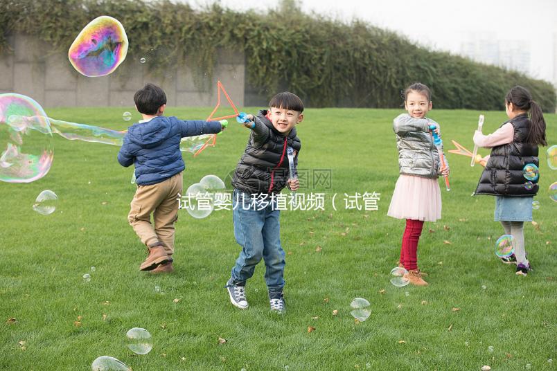 試管嬰兒移植視頻（試管嬰兒移植視頻播放真實(shí)）