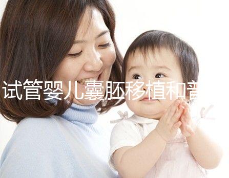 試管嬰兒囊胚移植和普通胚胎的區(qū)別