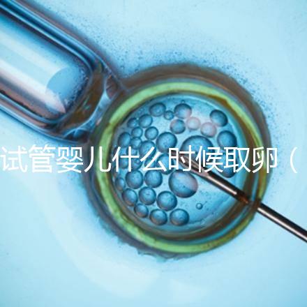 試管嬰兒什么時(shí)候取卵（試管嬰兒什么時(shí)候取卵和移植）