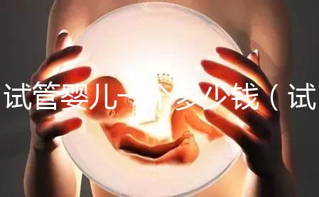 試管嬰兒一個(gè)多少錢（試管嬰兒多錢一次）