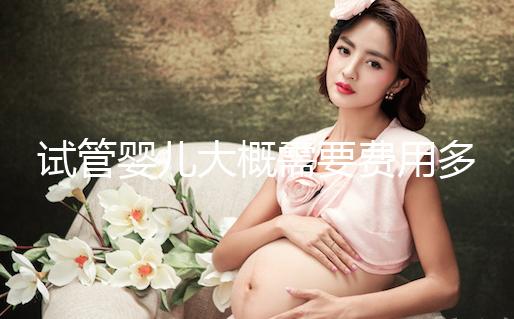 試管嬰兒大概需要費(fèi)用多少？怎么確定花多少錢(qián)？