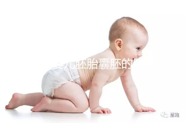 試管嬰兒胚胎囊胚的區(qū)別，成功率哪個高