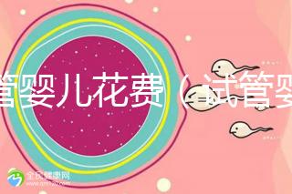 試管嬰兒花費(fèi)（試管嬰兒花費(fèi)多少錢？）