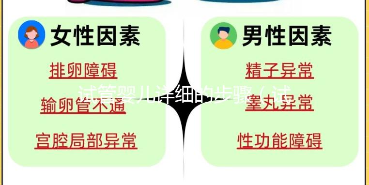 試管嬰兒詳細(xì)的步驟（試管嬰兒詳細(xì)的步驟有哪些）