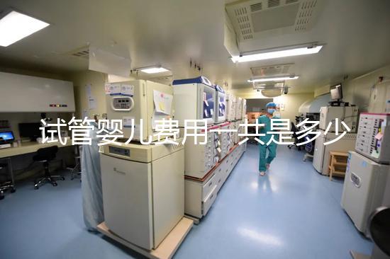 試管嬰兒費用一共是多少（試管嬰兒費用一共是多少錢）