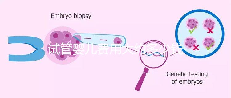 試管嬰兒費(fèi)用大約多少錢(qián)(泰國(guó)試管嬰兒費(fèi)用大約多少錢(qián))