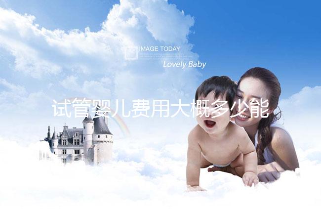 試管嬰兒費用大概多少能報銷(試管嬰兒費用大概多少能報銷醫保)