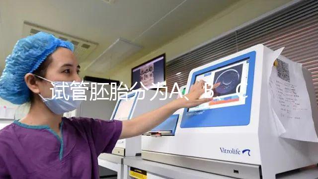 試管胚胎分為A、B、C、D四級，那么每一級分別代表什么？