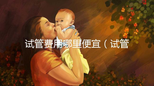 試管費用哪里便宜（試管費用哪里便宜點）