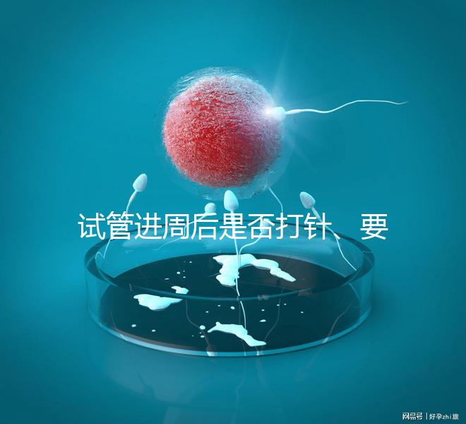 試管進周后是否打針、要不要注射肝素60s說清，備孕的速覽