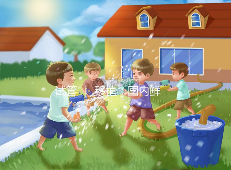 試管 ｜ 移植：國內(nèi)鮮胚和國外囊胚的區(qū)別