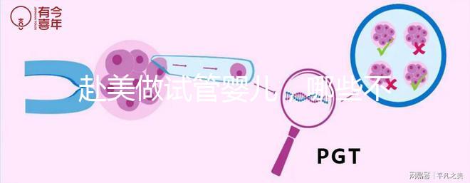 赴美做試管嬰兒，哪些不孕類問題更容易成功？
