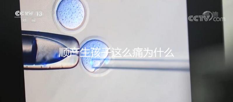 順產生孩子這么痛為什么大家能忍，這些真相非常戳心