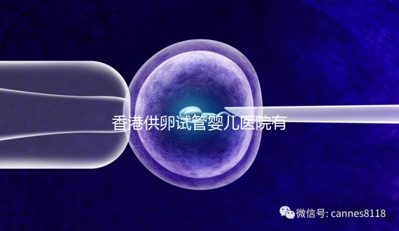 香港供卵試管嬰兒醫(yī)院有哪些點(diǎn)？附2024私立機(jī)構(gòu)排名