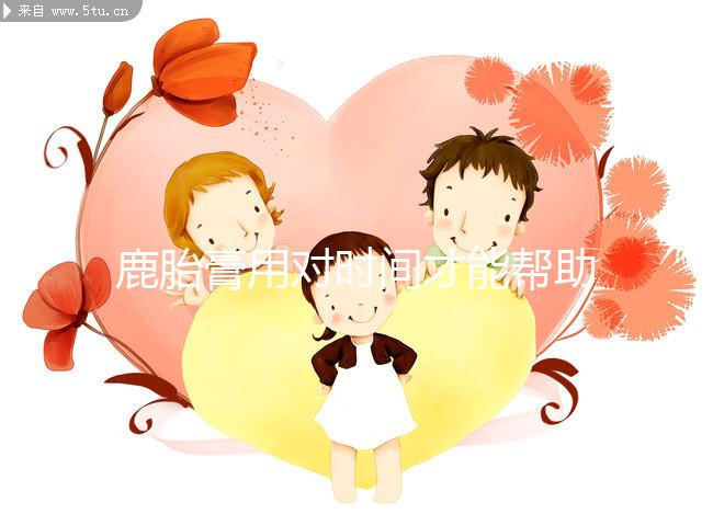 鹿胎膏用對時間才能幫助著床！備孕期、排卵后使用好處不同