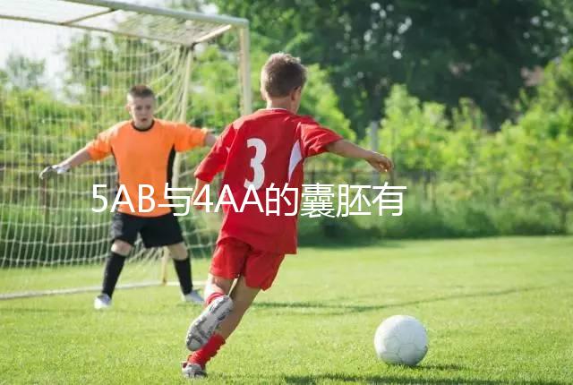 5AB與4AA的囊胚有什么區別？誰更適合移植？