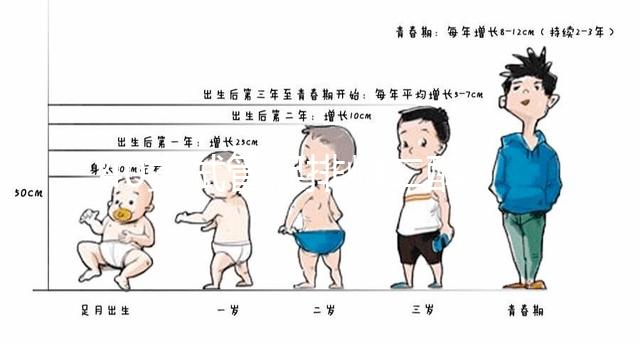 40歲試管促排雌二醇385是否1-2個卵的答案揭曉，想造戳