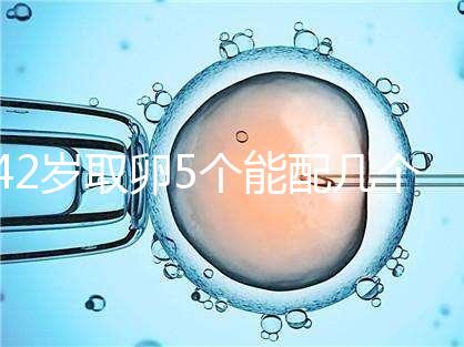 42歲取卵5個(gè)能配幾個(gè)胚胎難說，只有2個(gè)許是技術(shù)差導(dǎo)致