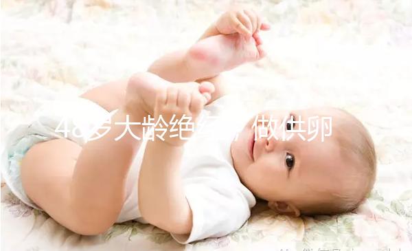 48歲大齡絕經(jīng)，做供卵試管嬰兒的成功率有多高？