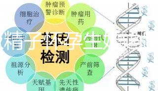 C級(jí)精子懷孕生娃之路不好走，試管或是唯一的選擇