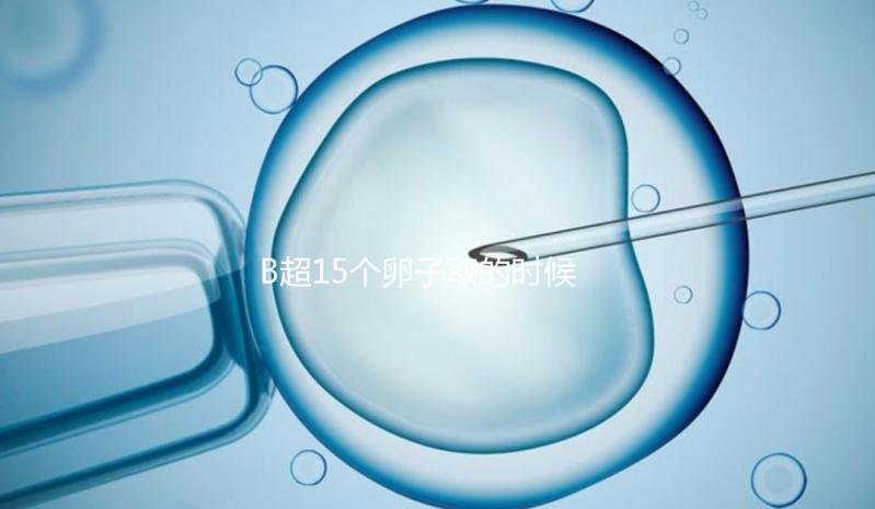 B超15個卵子取的時候只取了8個有原因的卵子，看起來不正常很清楚