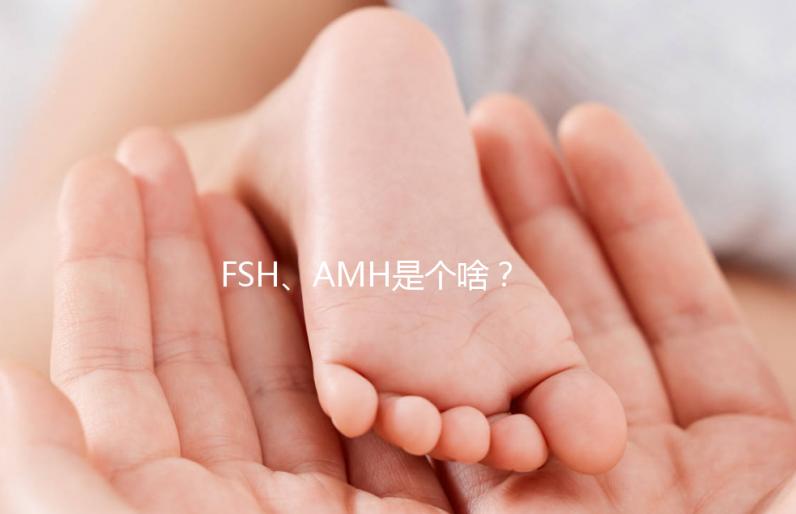 FSH、AMH是個(gè)啥?卵巢功能好不好看這些指標(biāo)!