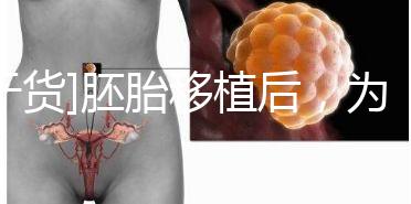 [干貨]胚胎移植后，為什么醫生告訴你不要提前懷孕？