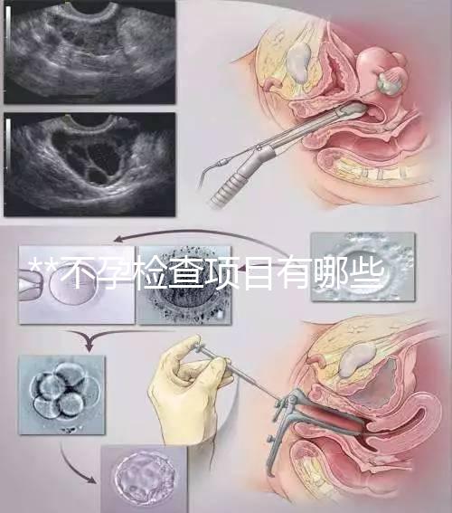 **不孕檢查項目有哪些？