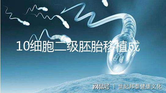 10細(xì)胞二級胚胎移植成功率解析,應(yīng)不應(yīng)該養(yǎng)囊答案在這
