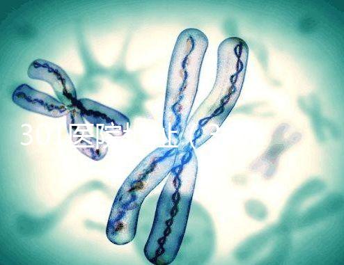 301醫院地址（301醫院地址在哪里）