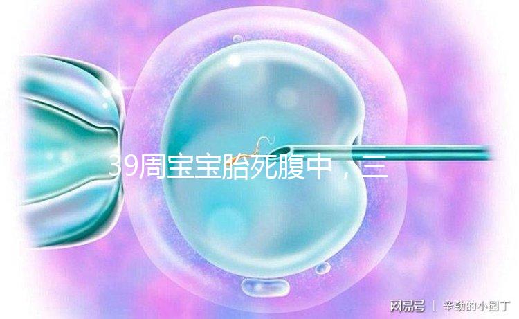 39周寶寶胎死腹中，三代試管嬰兒也拯救不了的胎停流產