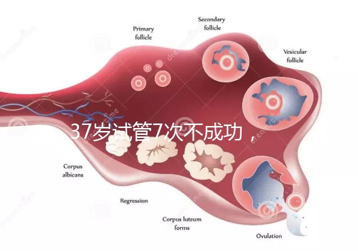 37歲試管7次不成功，關(guān)于反復移植失敗這些你得了解！