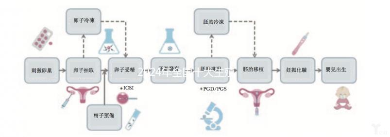 2024年全國十大生殖中心排名火爆，北京醫(yī)科大學(xué)第三醫(yī)院中信湘雅上榜