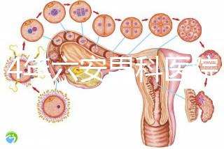 2024年六安男科醫(yī)院排名發(fā)布，裕安哪個好文件告訴答案