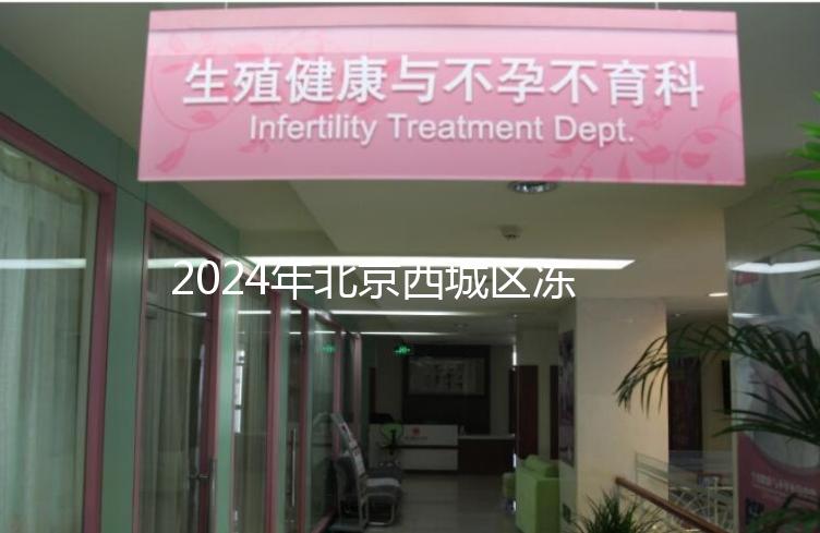 2024年北京西城區(qū)凍卵3個月更新費用!選擇合適的機構(gòu)非常重要!