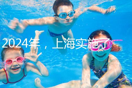 2024年，上海實施了新的生育保險政策，單獨生兩個孩子也可以享受待遇