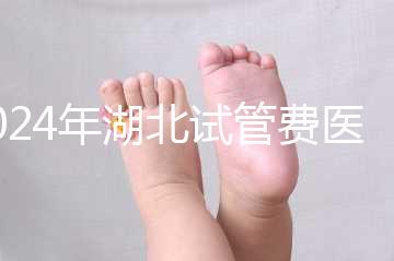 2024年湖北試管費(fèi)醫(yī)療保險(xiǎn)可以報(bào)銷？專家：時(shí)間還沒到？