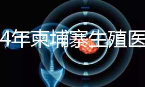 2024年柬埔寨生殖醫(yī)院排名，試管嬰兒都在這里