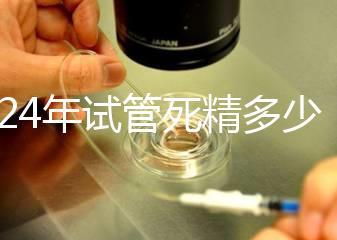 2024年試管死精多少錢？報銷政策和費用都有