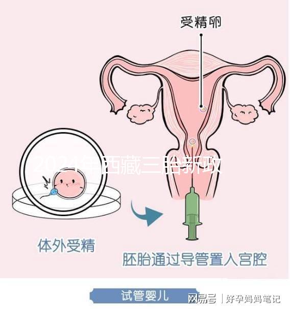 2024年西藏三胎新政策出臺，拉薩、日喀則產假戳多久？