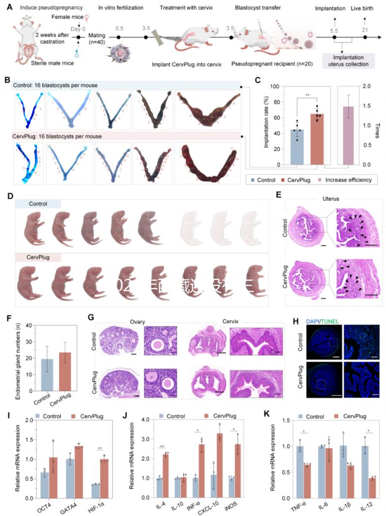 2024年西藏還沒有三代試管嬰兒醫(yī)院，那該去哪里做三代呢？