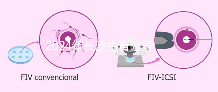 2024年長沙生育險異地報銷備案流程，附比例介紹