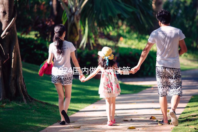 2024國內做三代試管比較好的醫(yī)院排名詳解