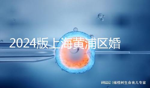 2024版上海黃浦區(qū)婚檢預(yù)約指南，包括詳細(xì)的流程和費(fèi)用
