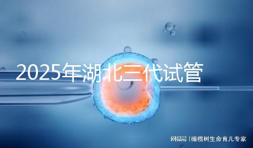 2025年湖北三代試管嬰兒費(fèi)用明細(xì)一覽 附價(jià)格清單！