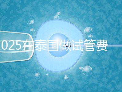 2025在泰國做試管費(fèi)用預(yù)估，助孕一次不到10萬