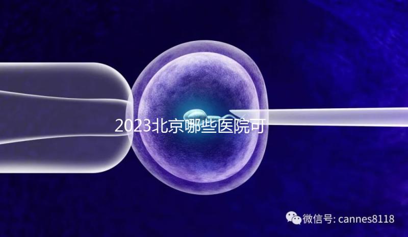 2023北京哪些醫院可以借卵生子？附北京供卵不排隊醫院名單(含排隊時長)